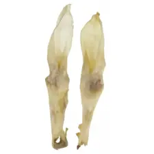  Nyúlfül, fehér, 20cm, 50db/cs jutalomfalat kutyáknak
