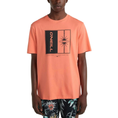 O'Neill Mix & Match Palm T-Shirt  D