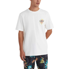 O'Neill O Neill Beach Graphic T-Shirt  D
