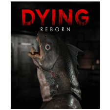 Oasis Games Dying: Reborn (PC - Steam Digitális termékkulcs) videójáték