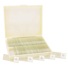 OEM Általános biológiai metszetkészlet oktatójáték