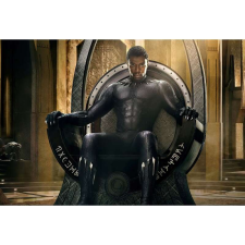 OEM Asztali vászon Chadwick Aaron Boseman Fekete Párduc, 80x50cm, tábla449 grafika, keretezett kép
