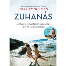 OEM Charity Norman - Zuhanás regény