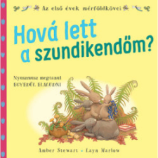 OEM Layn Marlow - Amber Stewart - Hová lett a szundikendőm ? gyermek- és ifjúsági könyv