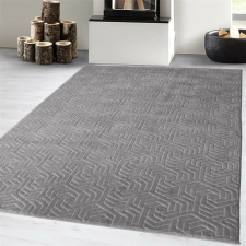 OEM Modern szőnyeg Armoni Plüss (Light grey) 200x280cm Világos szürke lakástextília