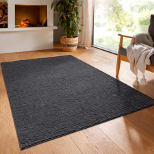 OEM Modern szőnyeg Rio 3D Zoe (Antracit) 240x330cm Sötét Szürke lakástextília