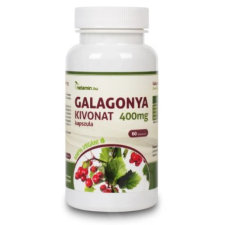 OEM NETAMIN Netamin galagonya kivonat kapszula 60 db vitamin és táplálékkiegészítő