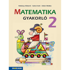 OEM Ratkóczy Gáborné - Matematika gyakorló 2. osztály ( MS-1664U) tankönyv