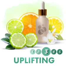 OEM SensaMist Uplifting légfrissítő illatolaj diffúzorba 1L SM-1L-UPLIFTING tisztító- és takarítószer, higiénia