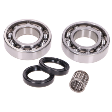OEM Standard Csapágykészlet forgattyús tengely, olajtömítéssel együtt Rotax 122, 123 motorokhoz egyéb motorkerékpár alkatrész