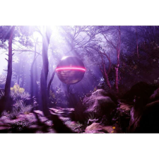 OEM Tablou Canvas Magic Woods szintetizátorhullám, 80x50cm, tablou1468 grafika, keretezett kép