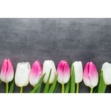 OEM Tablou vászon fehér és rózsaszín gyengéd tulipánok, 80x50cm, tabloucanvas826 grafika, keretezett kép