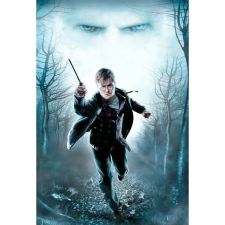 OEM Tablou vászon Harry Potter Halál ereklyéi, 80x50cm grafika, keretezett kép