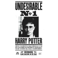 OEM Tablou vászon Harry Potter Nem kívánatos N1, 80x50cm grafika, keretezett kép