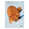 OfficeFox Beírókönyv STREET S-Line A/6 96 lapos keményfedelű vonalas