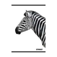 OfficeFox Füzet STREET Safari A/4 54 lapos vonalas füzet