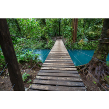  Öntapadó és mosható falfestmény Costa Rica erdőtalaj, 400 x 250 cm tapéta, díszléc és más dekoráció