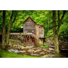  Öntapadó és mosható falfestmény Erdei malom, 300 x 250 cm