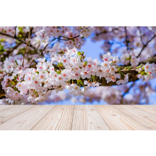  Öntapadó és mosható falfestmény Flori100, 200 x 150 cm tapéta, díszléc és más dekoráció