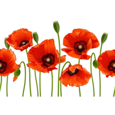  Öntapadó és mosható falfestmény Flori26, 250 x 200 cm tapéta, díszléc és más dekoráció