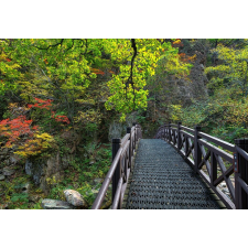  Öntapadó és mosható falfestmény Híd a természetbe, 200 x 150 cm tapéta, díszléc és más dekoráció