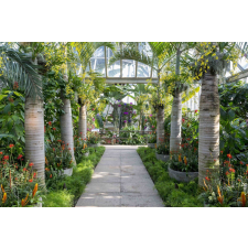  Öntapadó és mosható falfestmény Kert pálmafákkal, 200 x 150 cm tapéta, díszléc és más dekoráció