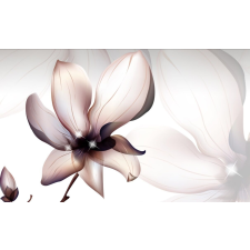 Öntapadó és mosható falfestmény Magnólia virág, 250 x 150 cm tapéta, díszléc és más dekoráció