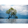  Öntapadó és mosható falfestmény Natura177 Fa a tó közepén, 200 x 150 cm