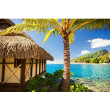  Öntapadó és mosható falfestmény Nyaraló, 300 x 250 cm tapéta, díszléc és más dekoráció