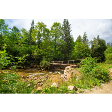  Öntapadó és mosható falfestmény Padure66 platformmal, 200 x 150 cm tapéta, díszléc és más dekoráció