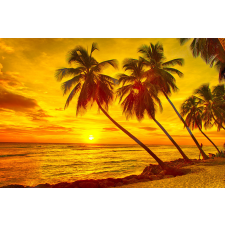  Öntapadó és mosható falfestmény Pálmafák naplementekor, 250 x 150 cm tapéta, díszléc és más dekoráció