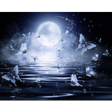  Öntapadó és mosható falfestmény Pillangók az éjszakai fényben, 300 x 200 cm tapéta, díszléc és más dekoráció