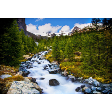  Öntapadó és mosható falfestmény Rau kövekkel, 250 x 200 cm tapéta, díszléc és más dekoráció