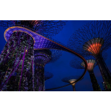  Öntapadó és mosható falfestmény Singapore Park 1, 400 x 250 cm tapéta, díszléc és más dekoráció