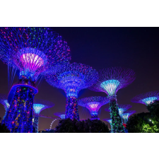  Öntapadó és mosható falfestmény Singapore Park 3, 200 x 150 cm tapéta, díszléc és más dekoráció