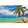  Öntapadó és mosható falfestmény Strand pálmafával, 200 x 150 cm