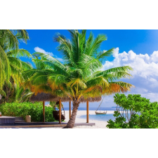  Öntapadó és mosható falfestmény Summer Beach Vacation, 400 x 250 cm tapéta, díszléc és más dekoráció