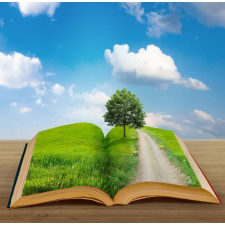  Öntapadó és mosható fali tapéta Book of nature2, 300 x 200 cm tapéta, díszléc és más dekoráció