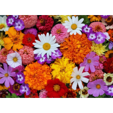  Öntapadó és mosható fali tapéta Flori57, 250 x 150 cm tapéta, díszléc és más dekoráció