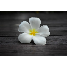  Öntapadó és mosható fali tapéta Flori59, 200 x 150 cm tapéta, díszléc és más dekoráció