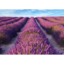  Öntapadó és mosható fali tapéta Lavender2, 250 x 200 cm tapéta, díszléc és más dekoráció
