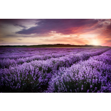  Öntapadó és mosható fali tapéta Lavender4, 200 x 150 cm tapéta, díszléc és más dekoráció