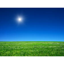  Öntapadó és mosható fali tapéta Natura102, 250 x 150 cm tapéta, díszléc és más dekoráció