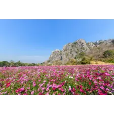  Öntapadó és mosható fali tapéta Natura114, 250 x 200 cm tapéta, díszléc és más dekoráció