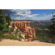  Öntapadó és mosható fali tapéta Natura120, 250 x 150 cm tapéta, díszléc és más dekoráció