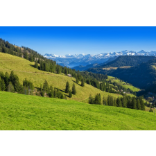  Öntapadó és mosható fali tapéta Natura135, 300 x 200 cm tapéta, díszléc és más dekoráció