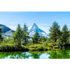  Öntapadó és mosható fali tapéta Natura146, 200 x 150 cm tapéta, díszléc és más dekoráció