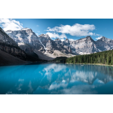  Öntapadó és mosható fali tapéta Natura50, 350 x 250 cm tapéta, díszléc és más dekoráció