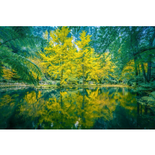  Öntapadó és mosható fali tapéta Natura60, 250 x 150 cm tapéta, díszléc és más dekoráció