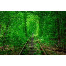  Öntapadó és mosható fali tapéta Padure10, 350 x 200 cm tapéta, díszléc és más dekoráció